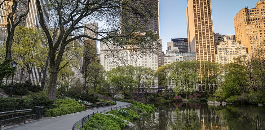 Rug Cleaning in Central Park, New York, NY