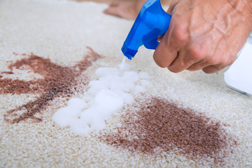 Cleaning Stain on Carpet