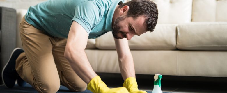 DIY Rug Cleaning