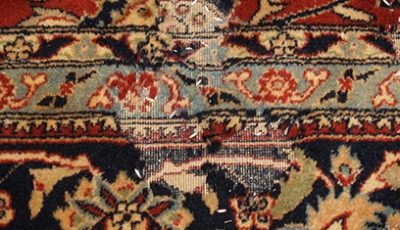 Oriental Rug Moth Proofing Oriental Rug Moth Proofing