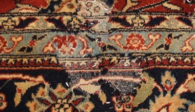 Oriental Rug Moth Proofing