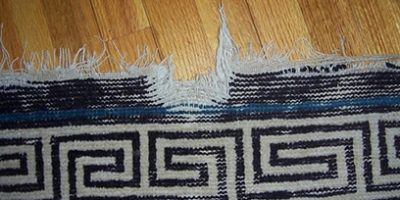 Oriental Rug Torn Fringe