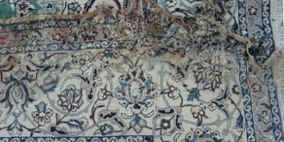 Oriental Rug Water Damage