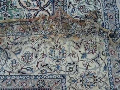 Oriental Rug Water Damage