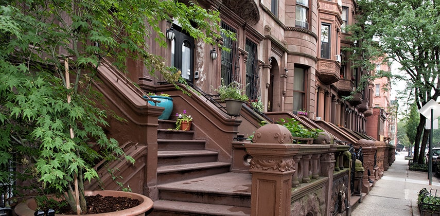 Rug Cleaning in Harlem, New York, NY