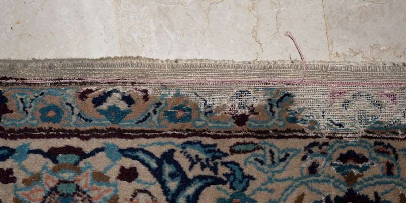 Pictures Of Moth Damage