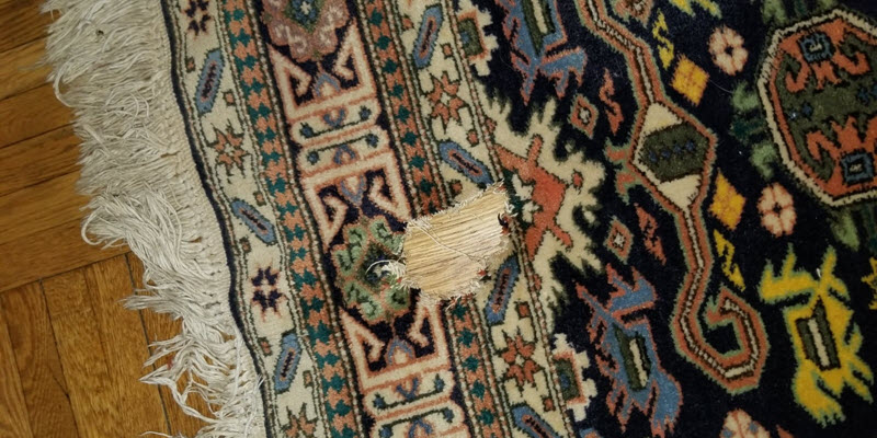 Rug Hole Repair