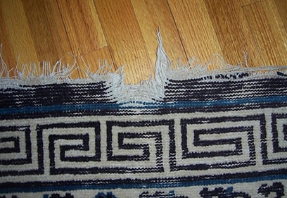 Oriental Rug Torn Fringe