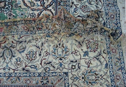 Oriental Rug Water Damage