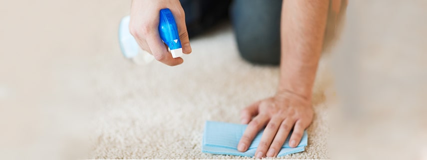 Carpet Stain Cleaning Small