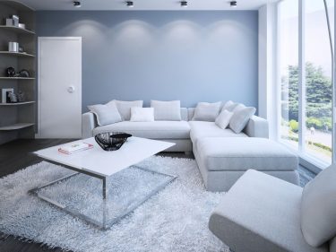 Living Room Shag Carpet